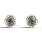 Traditional Kudan Polki Diamond Earring